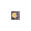 ADORNO SOLAR MRGARITA SL24-125
